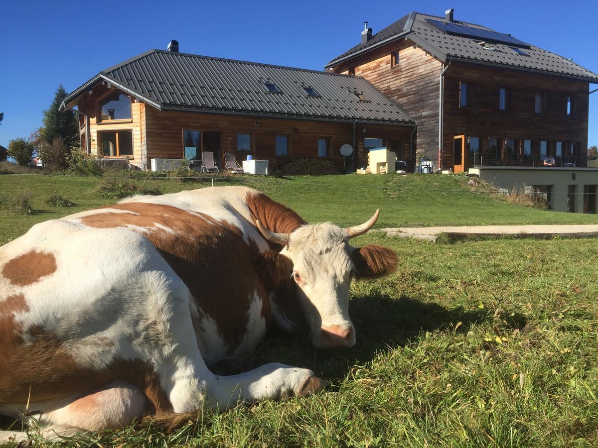 La Maison Des Inuits Hotel Septmoncel-Les-Molunes Esterno foto